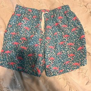 Chubbies flamingo bathing suit